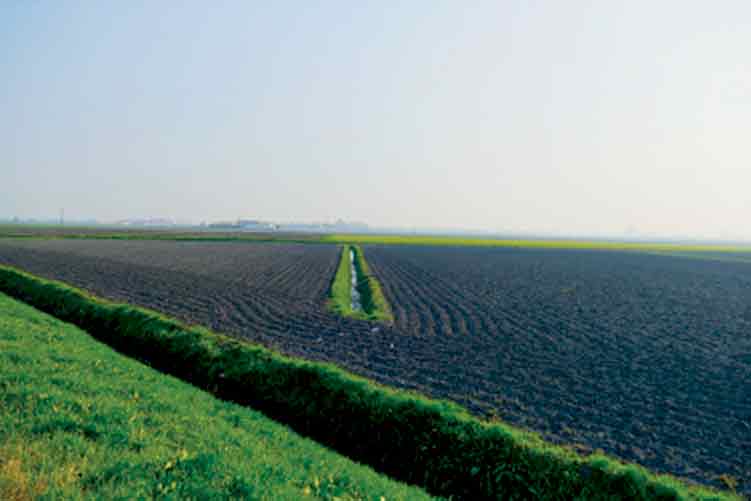 شکل ۵: مثالی از یک خندق در چشم‌انداز کشاورزی مرسوم در دشت پادانا (شمال ایتالیا)