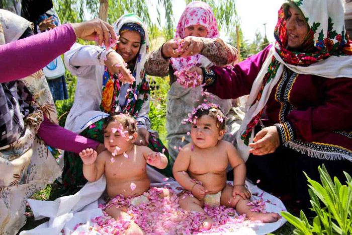 آیین گل غلتان