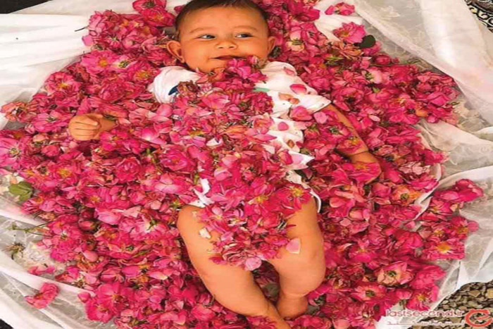 آیین گل غلتان