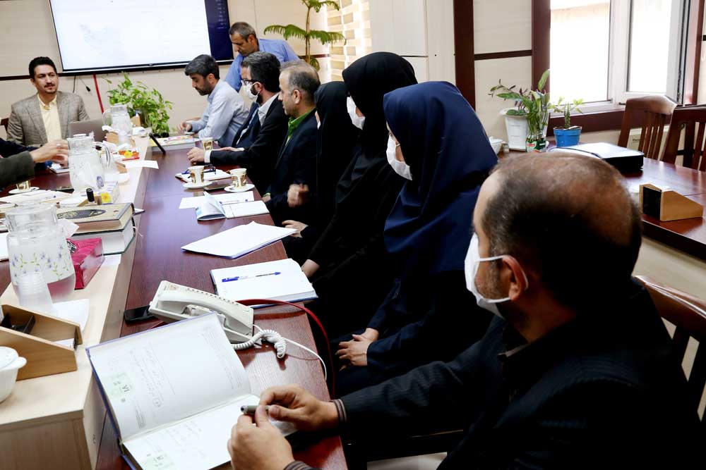 مثبت رشد در مسیر تولید