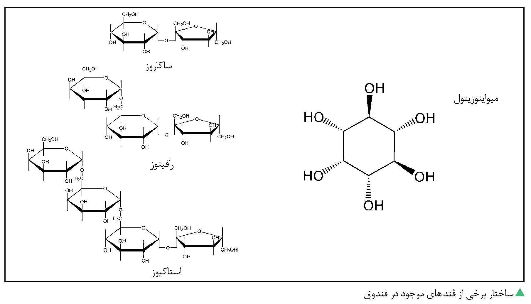 ساختار قندهای فندق