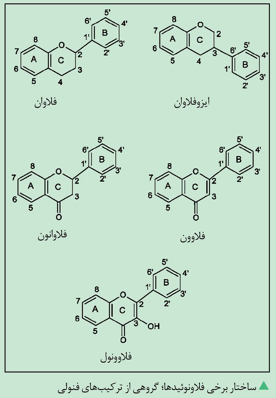 ساختار فلانوئیدها