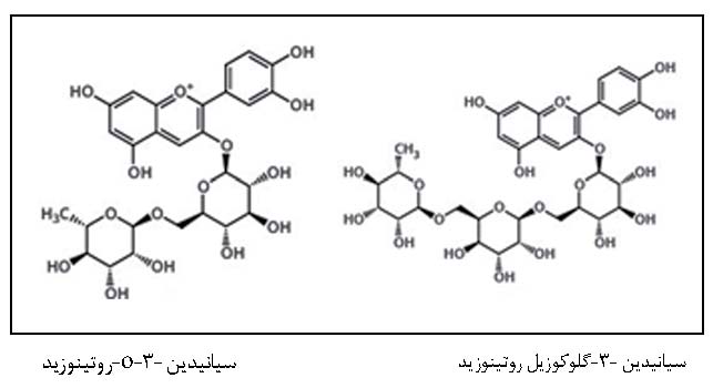 ساختارهای مولکولی