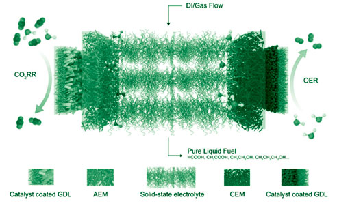 الکترولیت جامد پلیمری