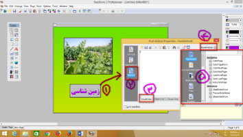 Professional Neobook