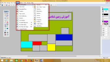 Professional Neobook