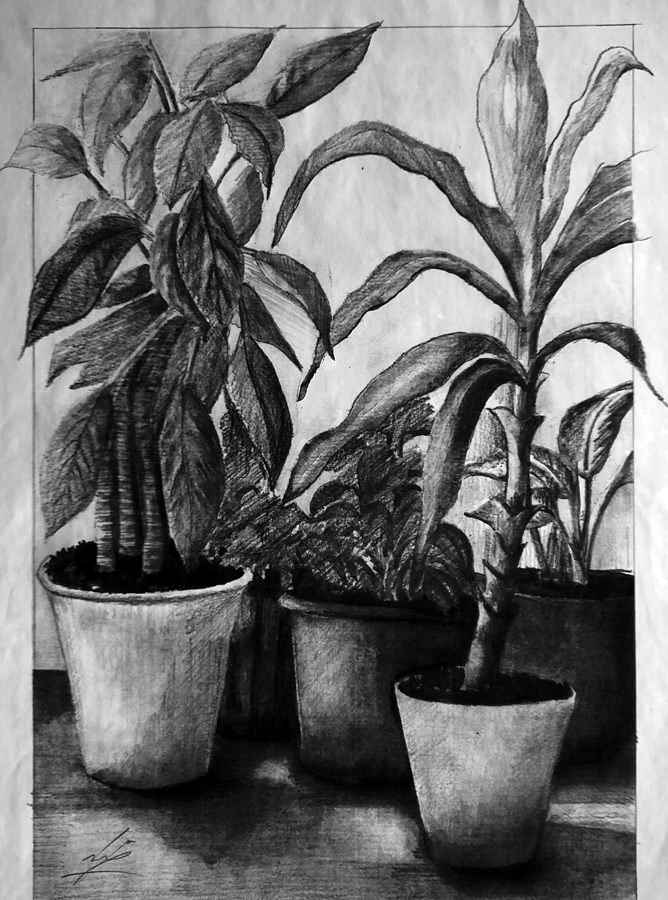 رازهای طراحی