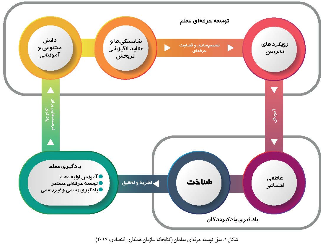 آموزگاران حرفه ای