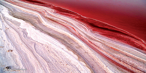 اخبار جغرافیایی