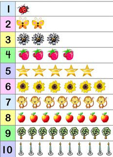 دلفین هایی که با GPS رصد می شوند