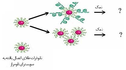 پاسخ های تحلیلی به پرسش های المپیاد زیست شناسی