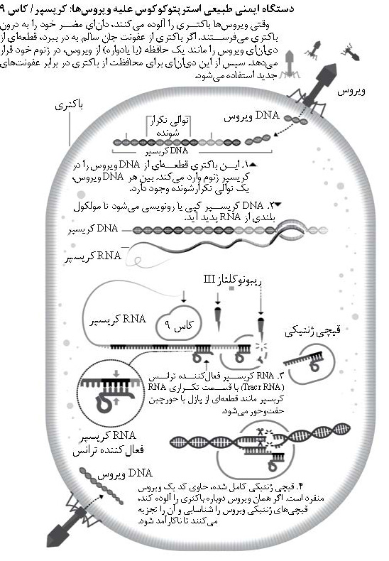 برندگان نوبل شیمی