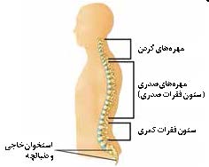 سرت را بالا بگیر