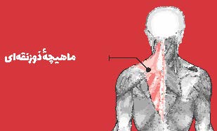 سرت را بالا بگیر