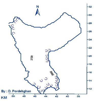 سیرک یخچالی در بیابان لوت!