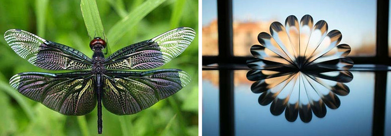 دوقلوهای دیجیتالی