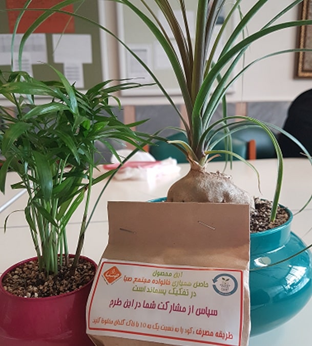 اولین خاک تولیدی صبا