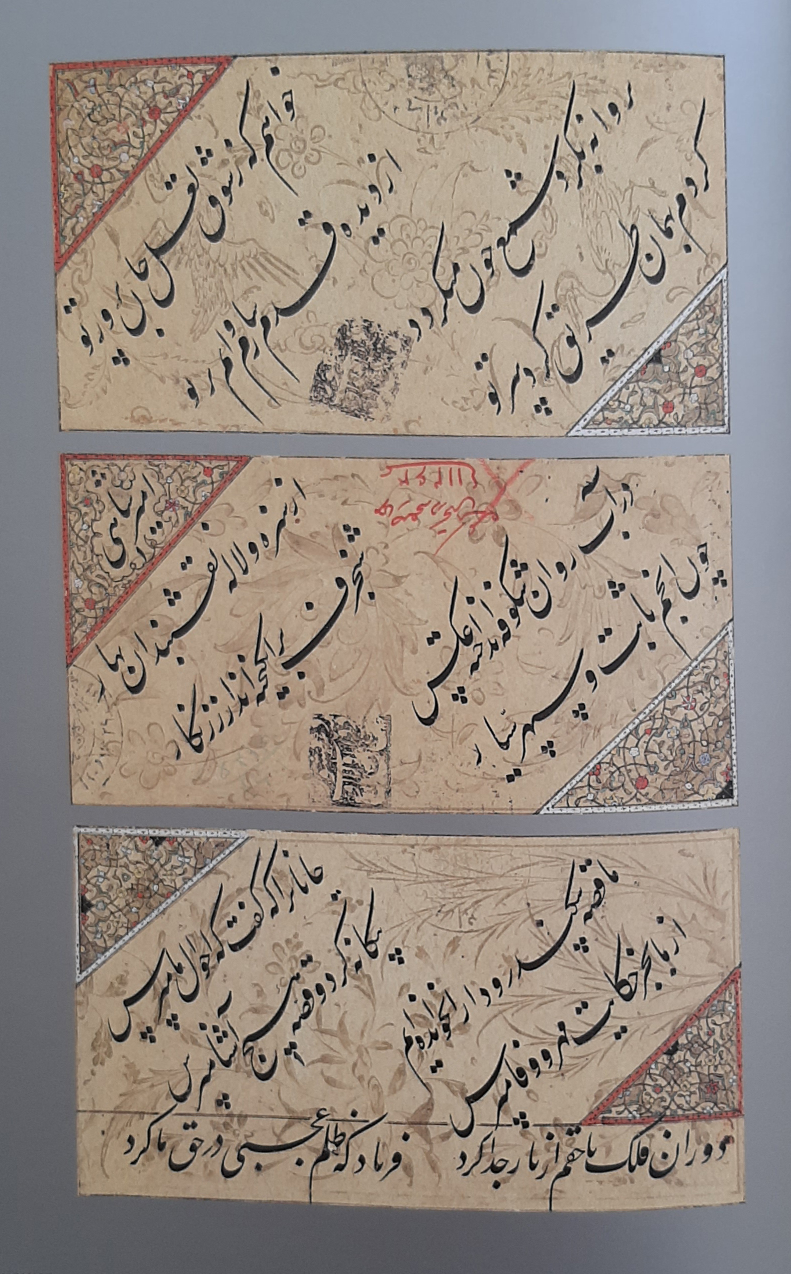 رشد هنرجو: خطاطی