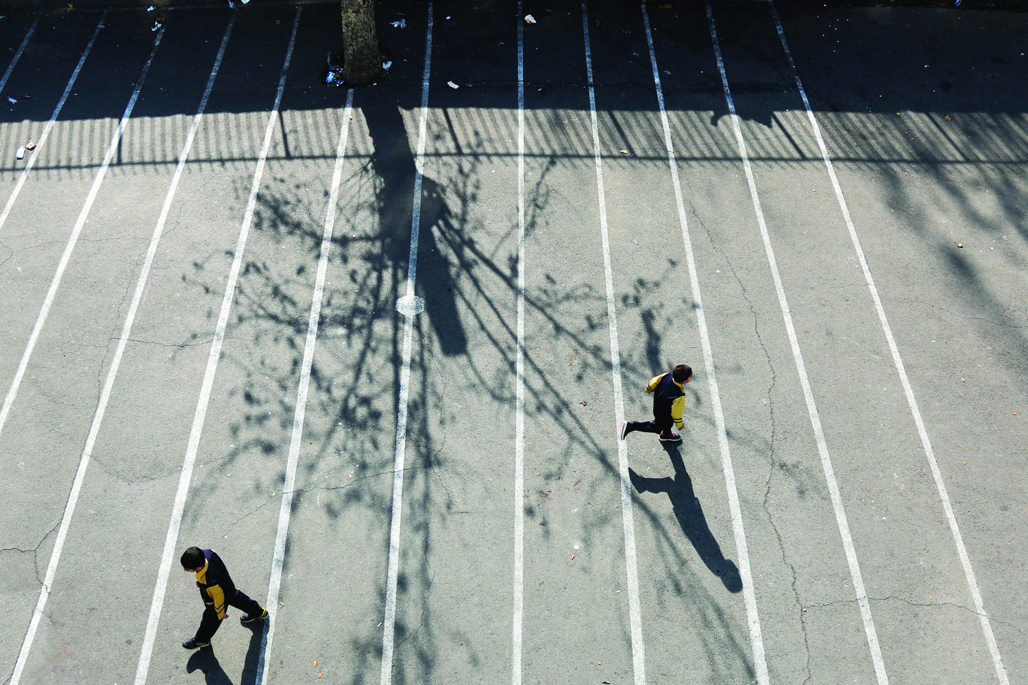 سبز مثل طبیعت